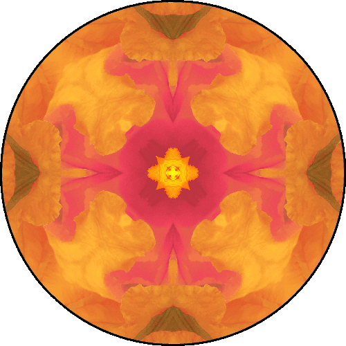 02a - Sacral Chakra - Orange